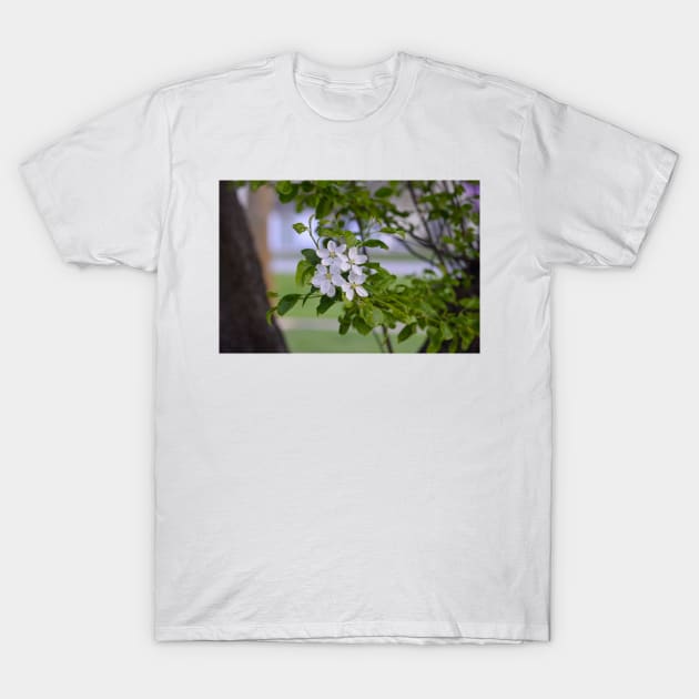 White Crab Apple Blossoms T-Shirt by Drgnfly4free